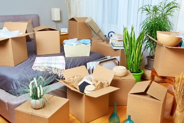 content-packout-3
