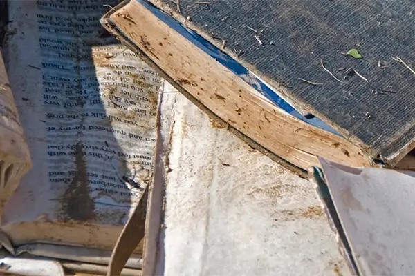 service-document-recovery-sm